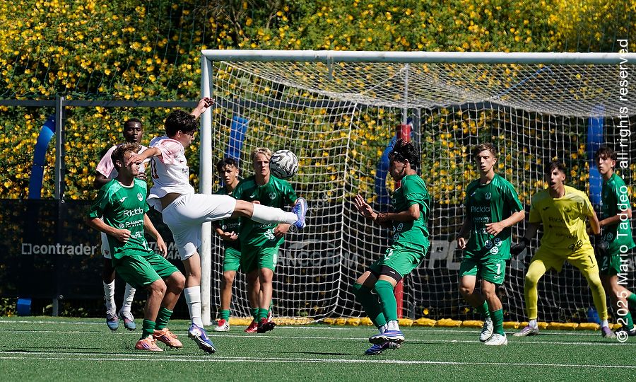 under-15-quarti-di-finale-gara-di-ritorno-benevento-monopoli-1-1-il-tabellino