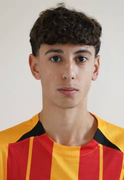 grosso-la-valle-mario