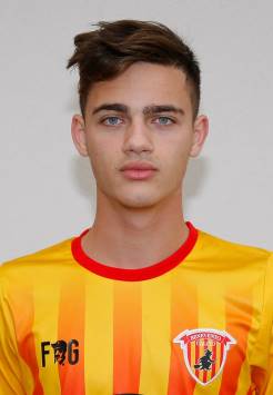 tortora-vincenzo
