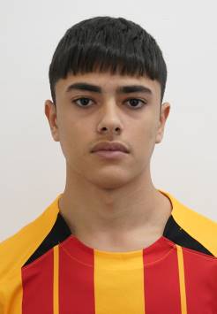 spinesi-raffaele