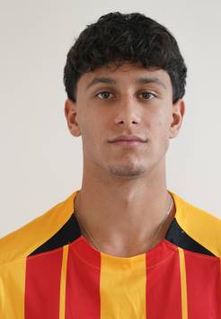 petrizzo-domenico
